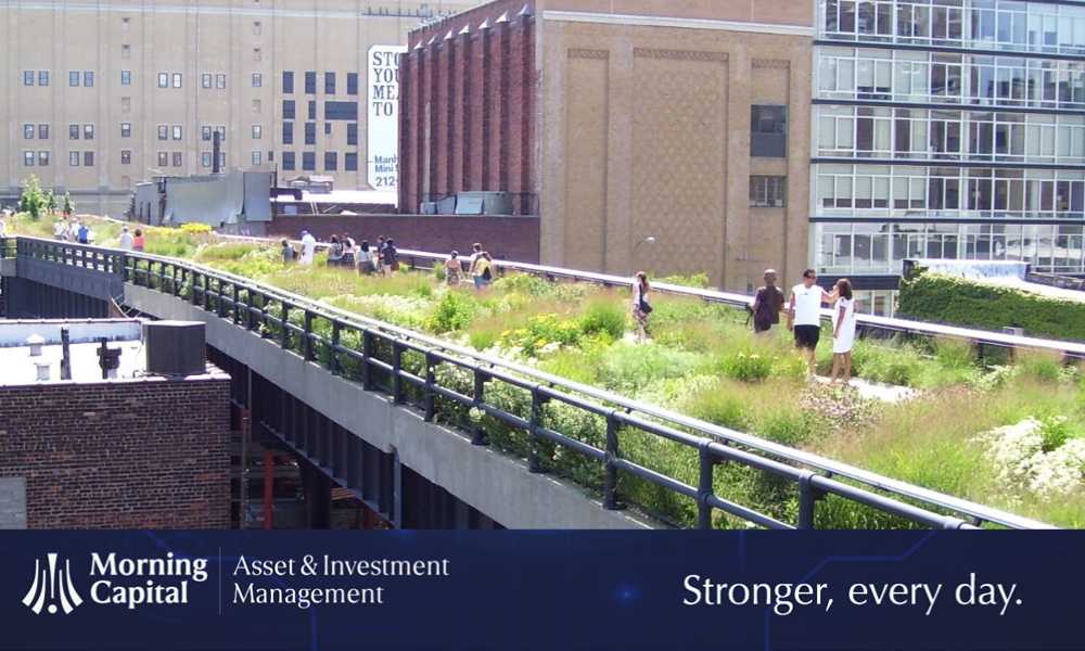 Elevated walkways: strolling through the city while preserving the ecosystem