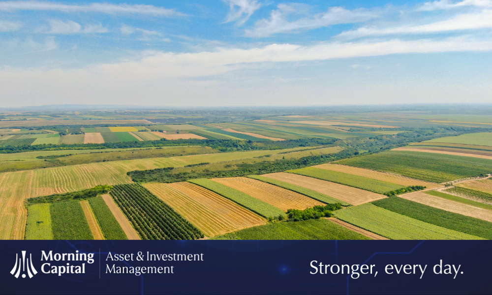 Agribusiness: una frontiera strategica per investitori immobiliari